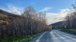До +20 градусов ожидается в Сахалинской области 16 мая 