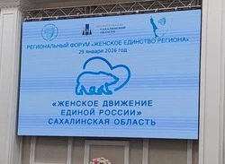 «Женское Движение «Единой России» решает социальные задачи