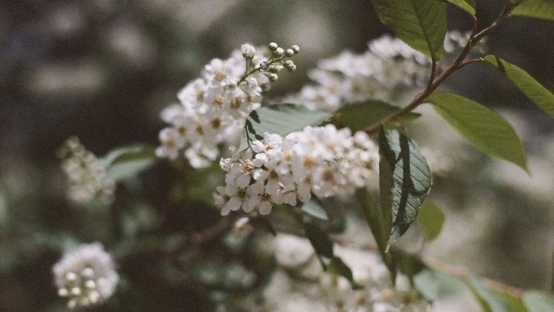 Народные приметы 29 мая: что строго нельзя делать 