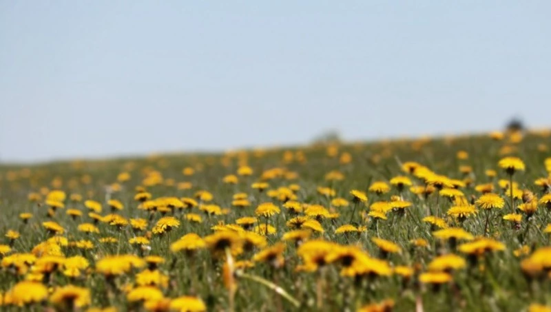 Народные приметы на 14 июня 2024: что строго нельзя делать в Устинов день   