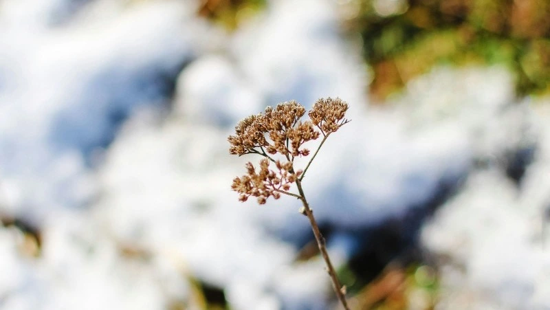 Народные приметы на 2 марта: что строго нельзя делать