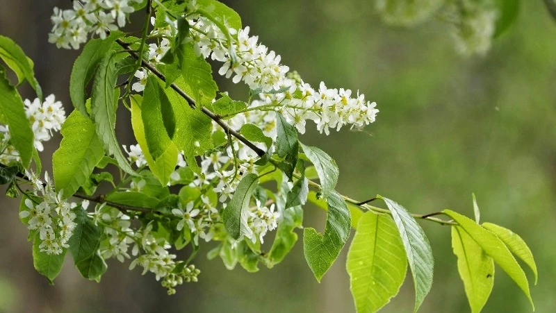 Народные приметы на 28 мая: что строго нельзя делать  