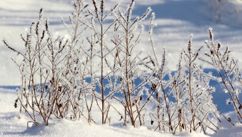 Церковный праздник 12 декабря 2023 года: что нельзя делать, приметы