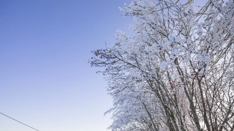 Народные приметы на 14 января 2024 года: что строго нельзя делать