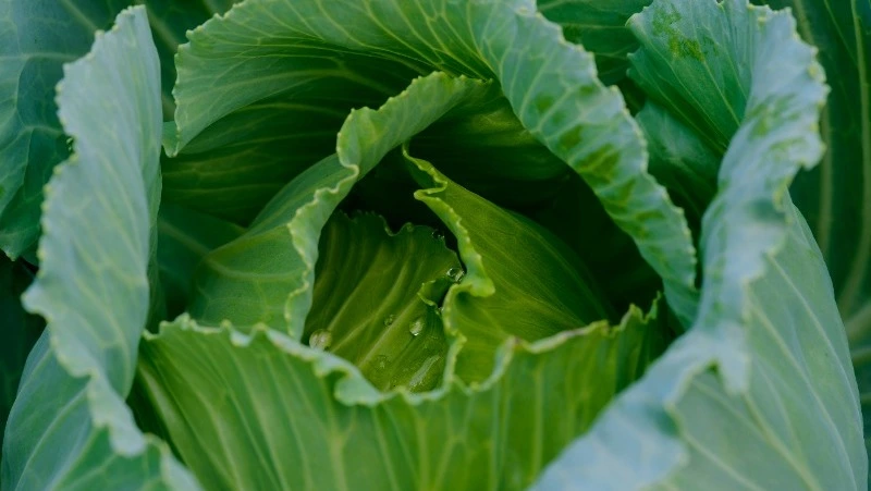 Народные приметы на 18 мая: что строго нельзя делать