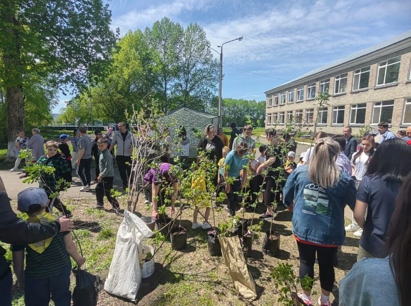 Рябиновая аллея в память о героях появилась в Тымовском
