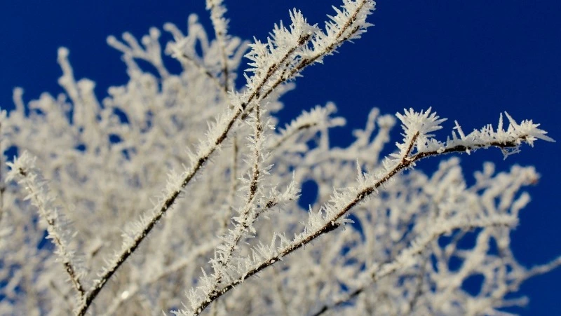 Народные приметы на 20 января 2024 года: что строго нельзя делать