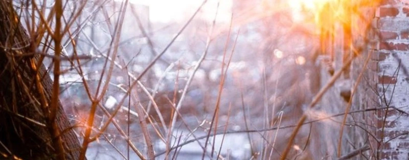 Сахалин ждет температурный рекорд: апрель 2026-го может оказаться самым теплым за столетие