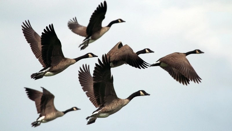 Народные приметы 10 июня: что строго нельзя делать