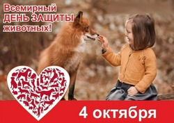 Всемирный день защиты животных 2024: картинки 