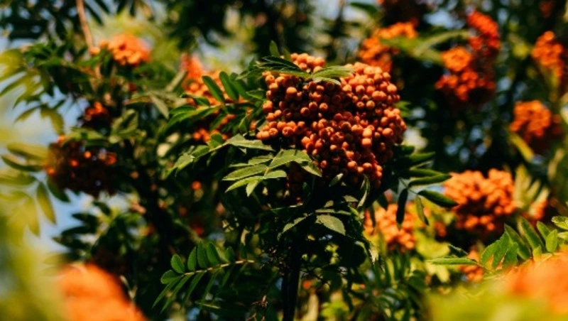 Народные приметы на 25 мая: что строго нельзя делать  