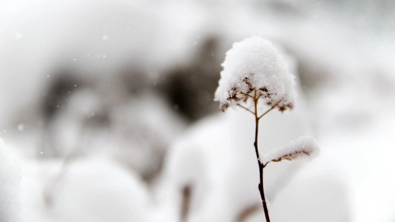 Слабый снег и до -20 градусов днем: погода в Сахалинской области 22 февраля