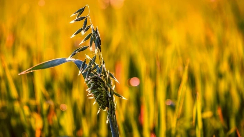 Церковный праздник 28 июня 2024: приметы, традиции, что нельзя делать 