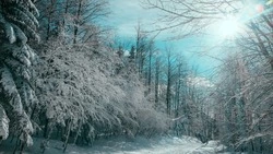 Воздух прогреется до +9 градусов в Сахалинской области 5 апреля 