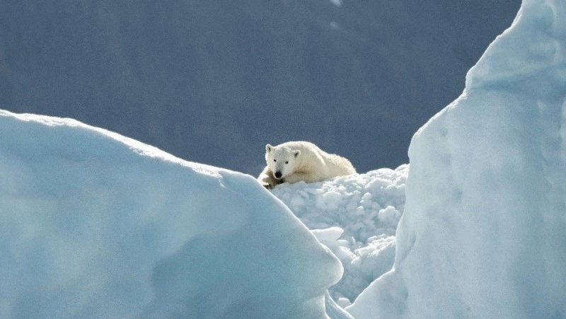 27 февраля 2024: какой сегодня праздник, события в этот день 