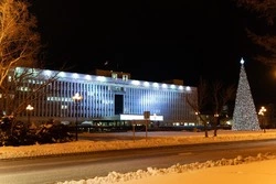 Десять елей украсят Южно-Сахалинск к Новому году