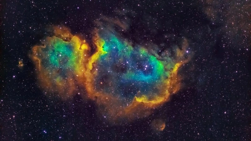 Гороскоп на 8 января 2024 года для всех знаков зодиака