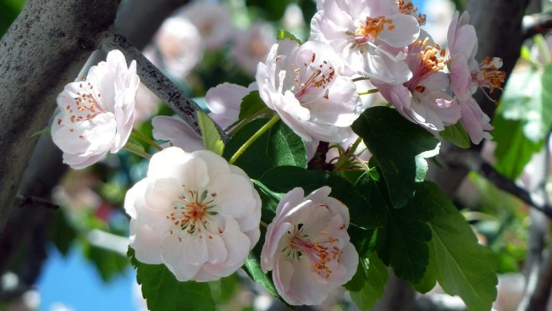 Народные приметы на 3 мая: что строго нельзя делать 