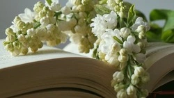 Тест на эрудицию: у вас невероятные знания, если осилите 10/10   