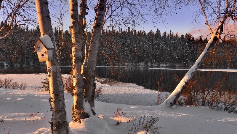 Народные приметы на 27 февраля: что строго нельзя делать 