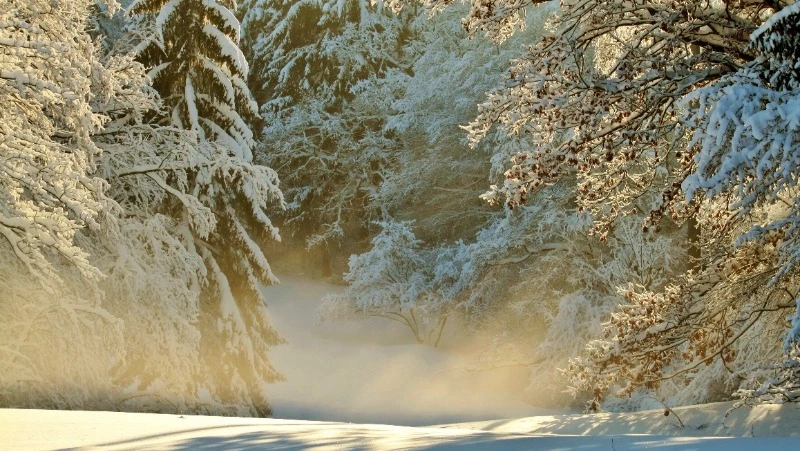 Церковный праздник 7 декабря 2023 года: что нельзя делать, приметы