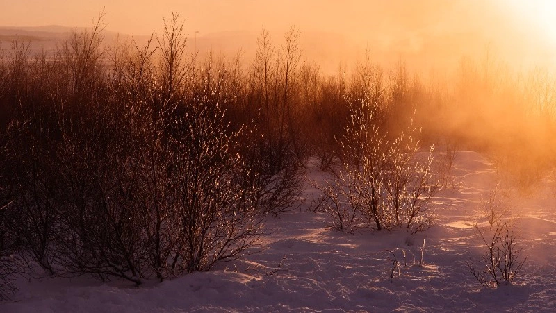 Народные приметы на 29 февраля: что строго нельзя делать  