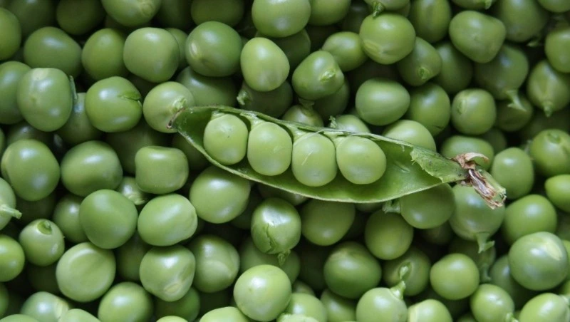 Народные приметы на 9 мая: что строго нельзя делать  