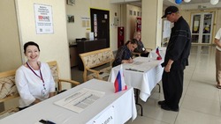 Политтехнолог: выборы на Сахалине и Курилах проходят с масштабным информированием избирателей