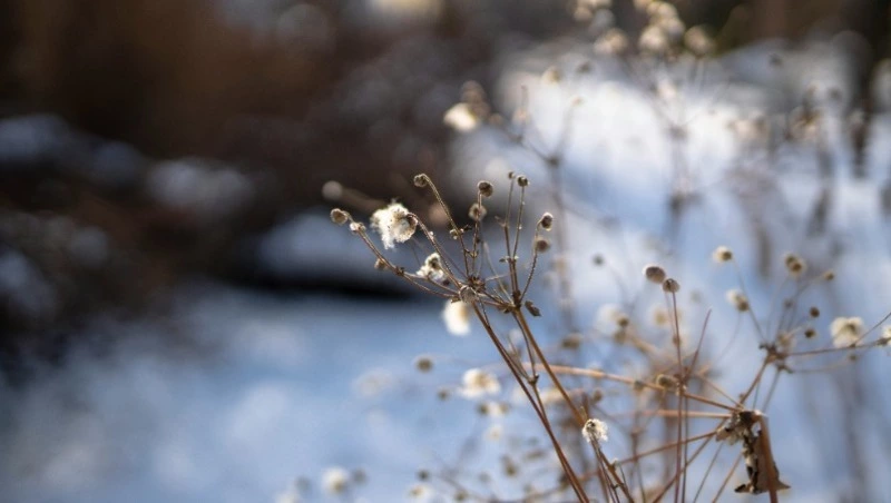 Народные приметы 31 марта: что строго нельзя делать 