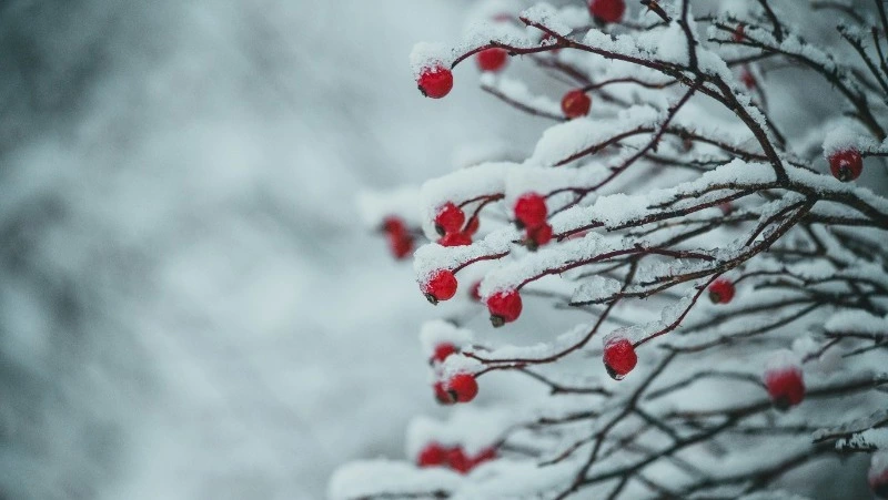 Народные приметы на 8 февраля: что строго нельзя делать 