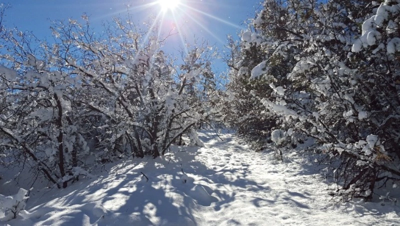 Церковный праздник 14 декабря 2023 года: что нельзя делать, приметы