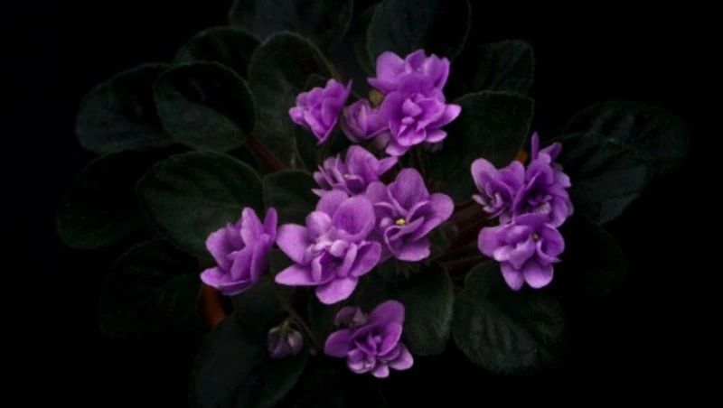 26 марта 2024: какой сегодня праздник, события в этот день