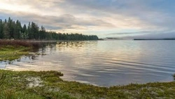 Федотов день: народные приметы, что строго нельзя делать 20 июня 2024 года        