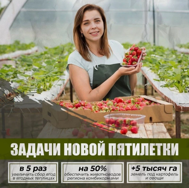 Господдержка позволяет сахалинцам и курильчанам потреблять местную продукцию круглый год