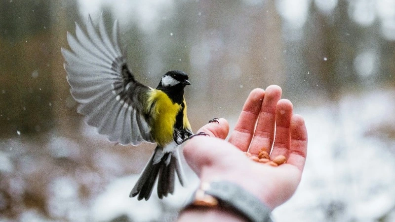 Народные приметы на 22 марта: что строго нельзя делать 