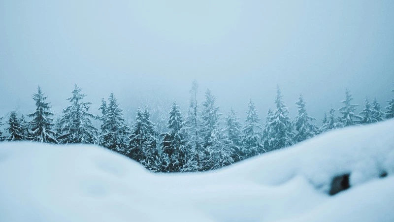 Народные приметы на 30 января: что строго нельзя делать 