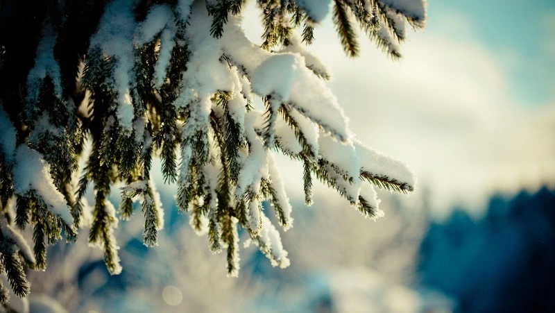 Народные приметы на 22 января 2024 года: что строго нельзя делать