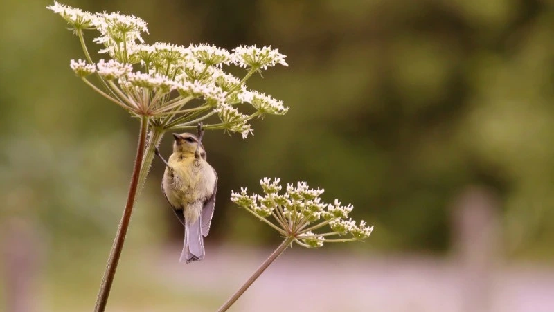 Народные приметы 2 мая: что строго нельзя делать 