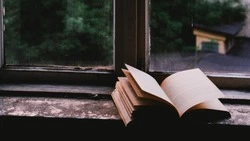 Тест на общие знания: вы самый образованный, если ответите на  7/9 