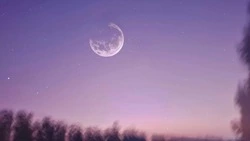 Новолуние 10 февраля: астрологи назвали знаки зодиака, которых ждет невероятный успех