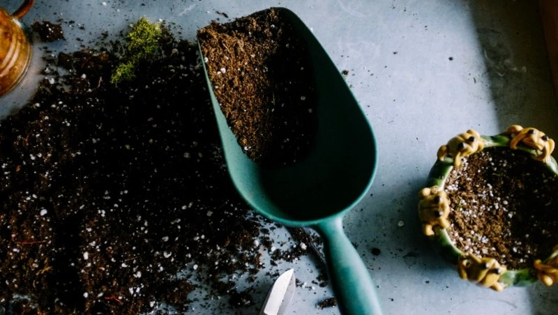 Народные приметы 10 мая: что строго нельзя делать