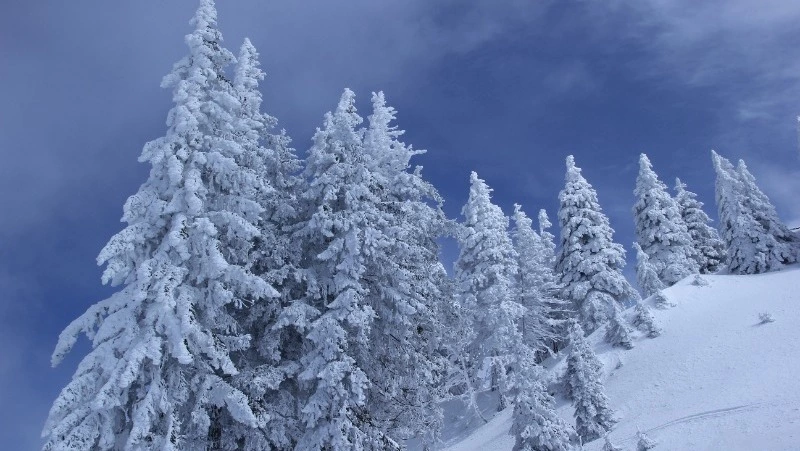 Церковный праздник 6 февраля 2024 года: что нельзя делать, приметы 