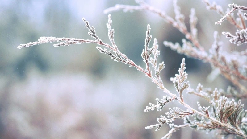 Церковный праздник 1 февраля 2024 года: что нельзя делать, приметы 