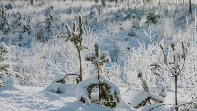 Народные приметы на 13 февраля: что строго нельзя делать 