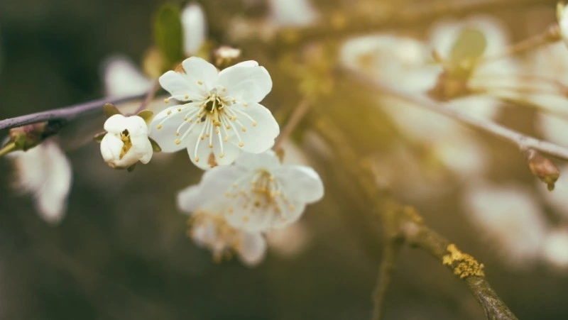 Народные приметы на 4 мая: что строго нельзя делать 