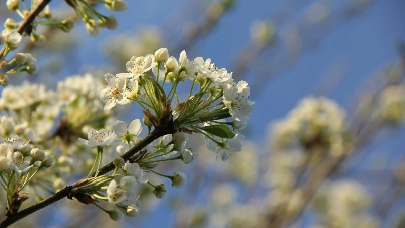 Народные приметы на 17 апреля: что строго нельзя делать 
