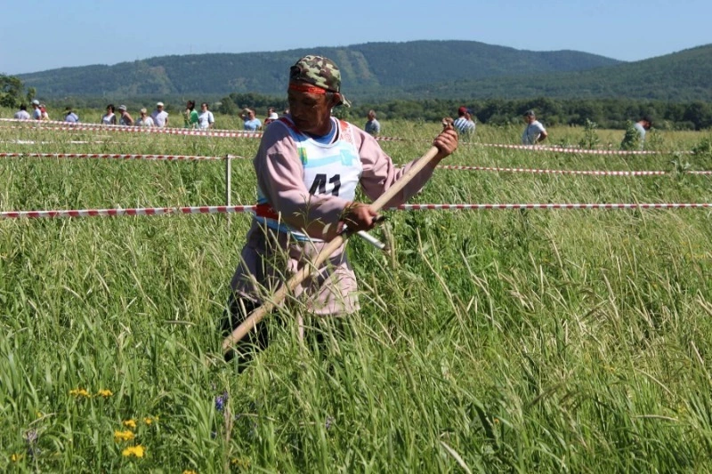 Фестиваль сена: в лучших сельских традициях