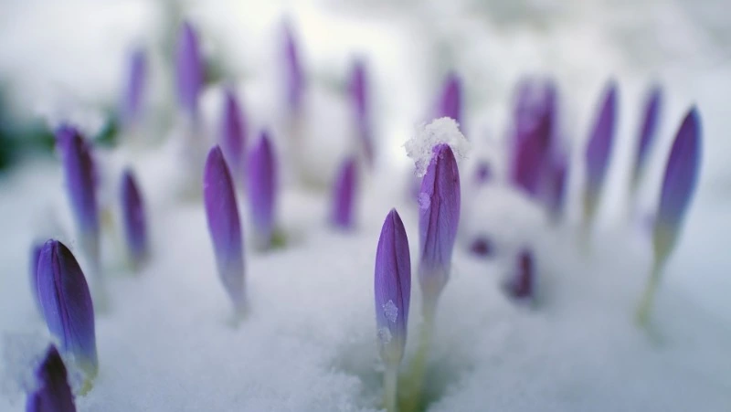 Народные приметы на 28 марта: что строго нельзя делать 