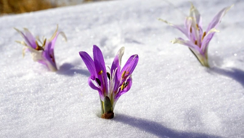 Народные приметы на 26 февраля: что строго нельзя делать