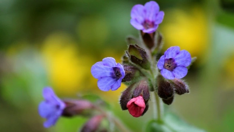 Народные приметы на 26 апреля: что строго нельзя делать 